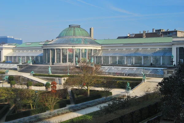 Botanical garden of Brussels — Stock Photo, Image