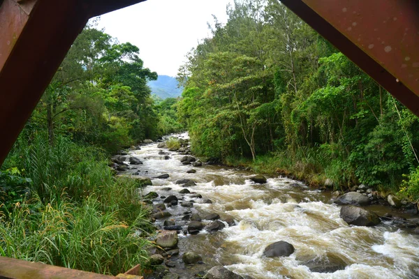 Orosi Valley — Stockfoto