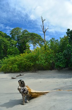 Parc Manuel Antonio