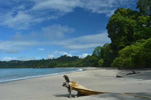 Parque Manuel Antonio — Foto de Stock