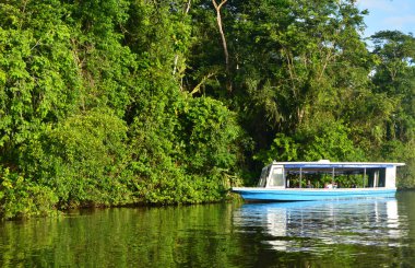 Tortuguero