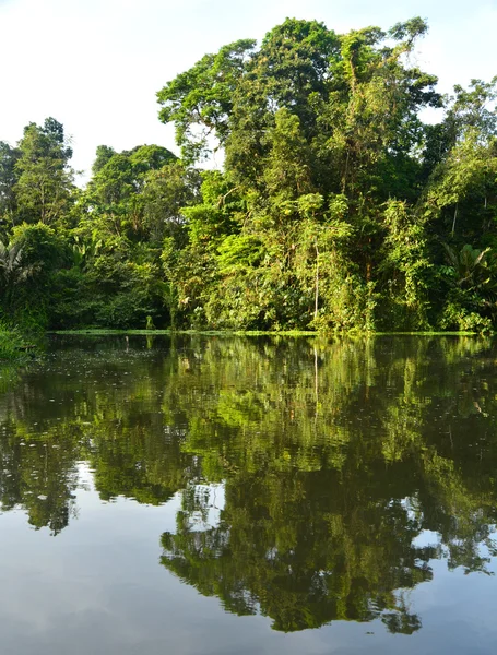 Tortuguero — Stockfoto