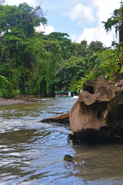 Tortuguero, Costa Rica — Stockfoto