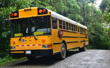 costarican autobus