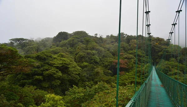 Ponte suspensa, Monteverde — Fotografia de Stock