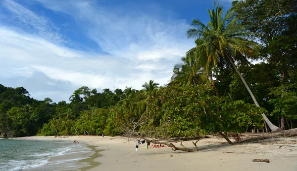 Manuel Antonio — Stock Fotó