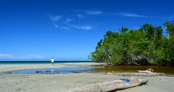 Cahuita, Milli Parkı — Stok fotoğraf