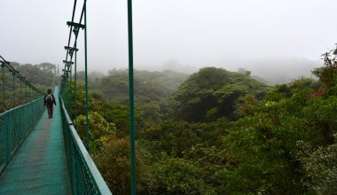monteverde bulutlu orman