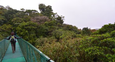 monteverde bulutlu orman
