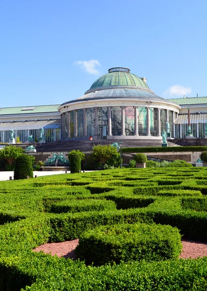Botanical garden of Brussels — Stock Photo, Image