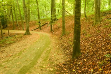 Gaasbeek parkının güzel manzarası