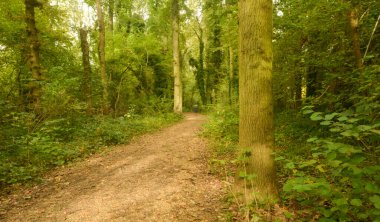 Wolfsputten doğal rezervinin güzel manzarası