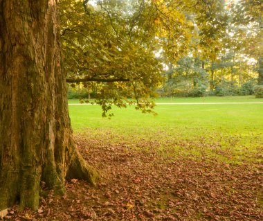 Gaasbeek parkının güzel manzarası