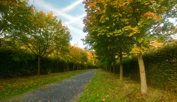 Schöne Aussicht Auf Den Park Von Enghien — Stockfoto