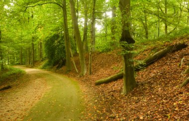 Gaasbeek parkının güzel manzarası
