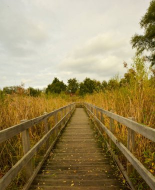 Graviere Brock 'un güzel manzarası