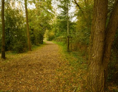 Graviere Brock 'un güzel manzarası