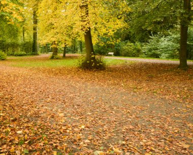 Enghien parkının güzel manzarası