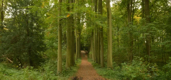 Krásný Výhled Park Enghien — Stock fotografie