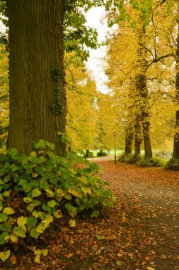 Enghien parkının güzel manzarası