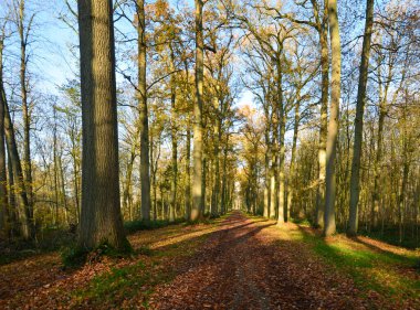 Enghien parkının güzel manzarası