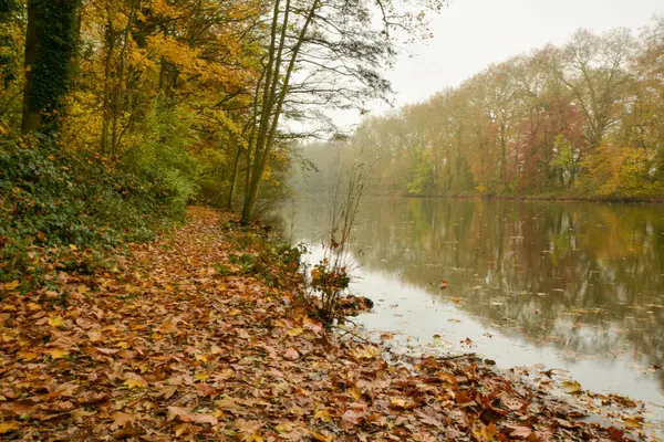 Hermosa Vista Del Parque Enghien — Foto de Stock