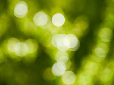 Bokeh yeşil arkaplan, Bokeh yeşil soyut