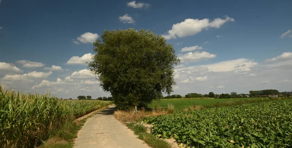 Beautiful View Belgian Countryside — Stock Photo, Image