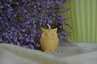 Baykuş şeklinde balmumu mumu. Arka planda mor çiçekler var..