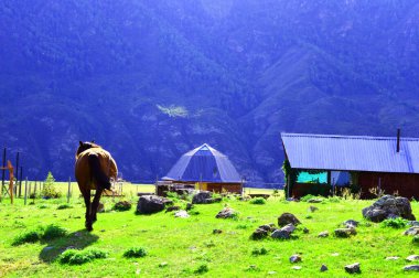 At, Altai halkının geleneksel evinin arka planına karşı. Altai Dağları.