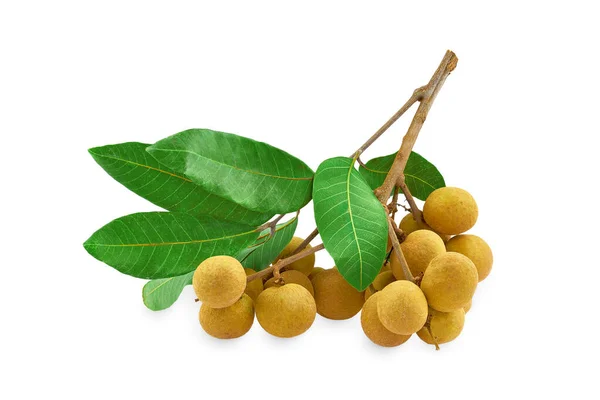 Logan, beyaz arkaplanlı meyveleri izole etti. Gölge kırpma yolunu kesti.