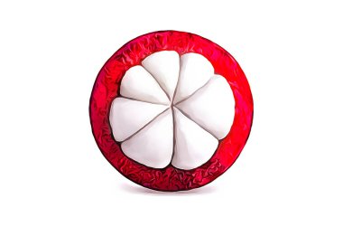 İzole beyaz arka planda gölgeli Mangosteen Fruit