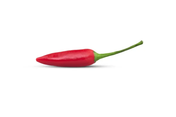 Chilli Red Single Gemüse Auf Isoliertem Weißem Hintergrund Mit Schatten — Stockfoto