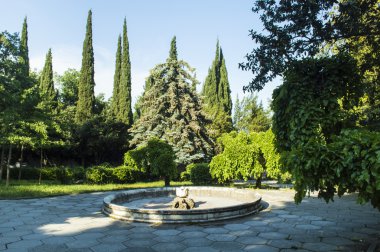 Yaz Bahçe tasarımı