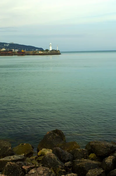 Passera di mare — Foto Stock