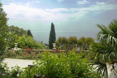 Olay yerinden pencere