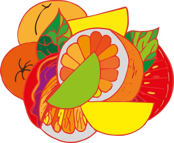 Vektör freehand citrus bileşimi. Greyfurt ve portakal kes.