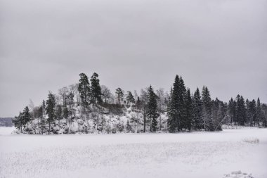 Park Mon Repos or Monrepos in a snowy forest in Vyborg in winter