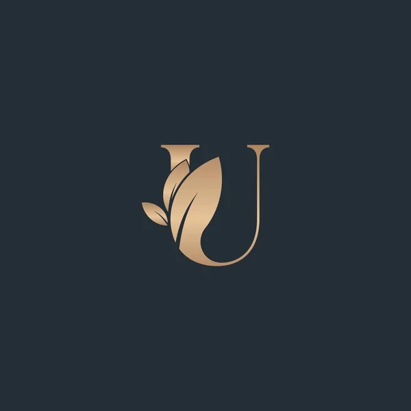 Красивий Лист Логотип Лист Розкішний Логотип Косметичний — стоковий вектор