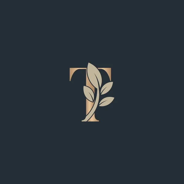 Beauty Letter Logo Leaf Luxury Logo Cosmetic - Stok Vektor