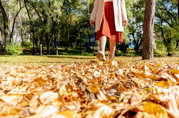 Mujer Adulta Camina Parque Otoño Con Hojas Caídas Concepto Estilo — Foto de Stock