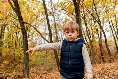Sonbahar ormanında mavi yelek giymiş gülümseyen bir çocuk oynuyor. Çocuk fantazisi. Oyun zamanı