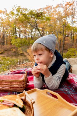 Ailesi göl kenarındaki ormanda dinlenirken piknik yapmış. Aile bireyi bakım konsepti. Sonbahar manzarası. İnsanların çeşitliliği