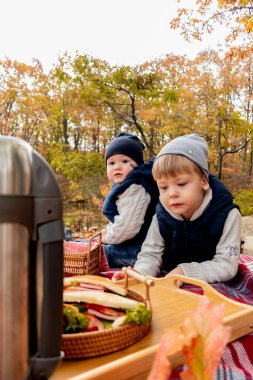Ailesi göl kenarındaki ormanda dinlenirken piknik yapmış. Aile bireyi bakım konsepti. Sonbahar manzarası. İnsanların çeşitliliği