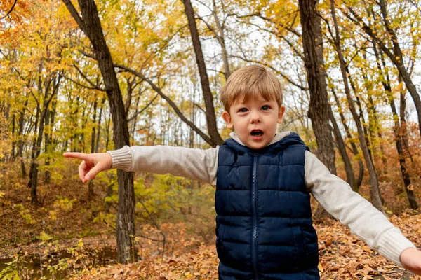 Sonbahar ormanında mavi yelek giymiş gülümseyen bir çocuk oynuyor. Çocuk fantazisi. Oyun zamanı