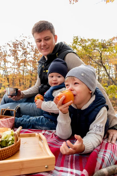 Família Fez Piquenique Enquanto Relaxava Floresta Junto Lago Conceito Cuidado — Fotografia de Stock