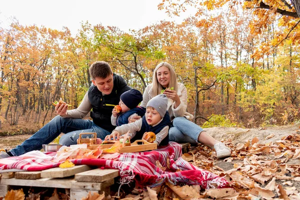 Família Fez Piquenique Enquanto Relaxava Floresta Junto Lago Conceito Cuidado — Fotografia de Stock