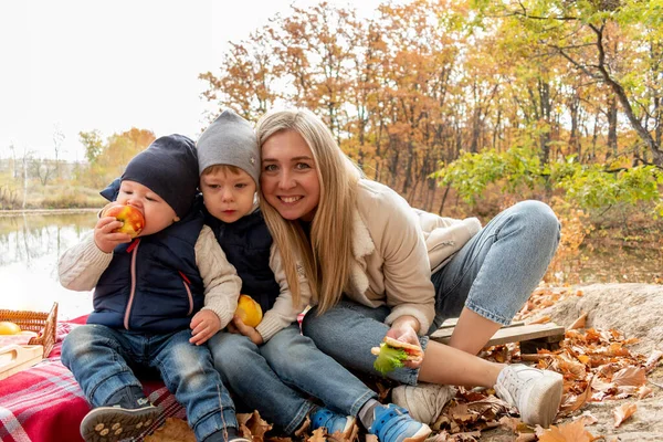 Família Fez Piquenique Enquanto Relaxava Floresta Junto Lago Conceito Cuidado — Fotografia de Stock