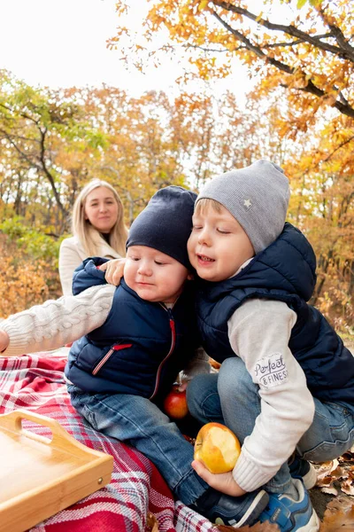 Dois Filhos Irmão Estão Abraçando Piquenique Outono Natureza Conceito Familiar — Fotografia de Stock