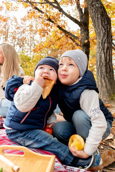 Dois Filhos Irmão Estão Abraçando Piquenique Outono Natureza Conceito Familiar — Fotografia de Stock